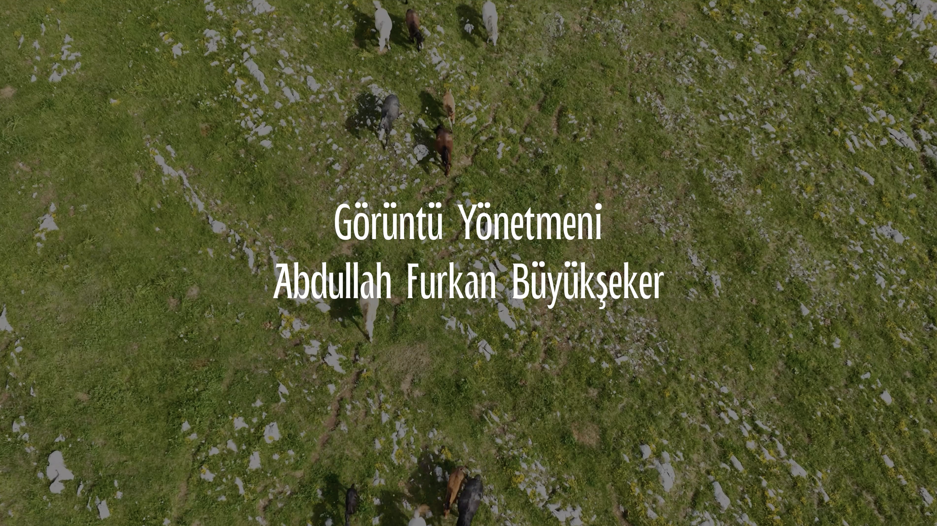 Kadim Yoldaşlık — belgesel çekimi